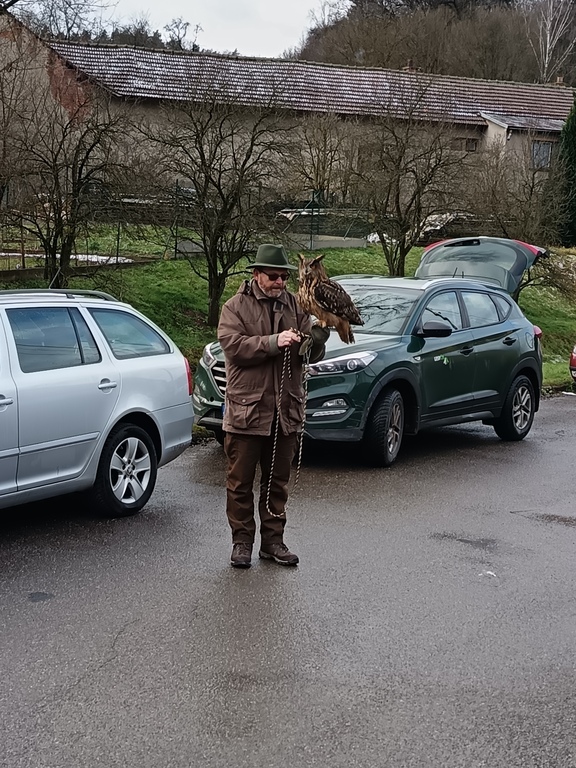 krmení zvířátek 2024